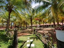 Sri-Lanka, Kalpitiya, Windsurf and kitesurf holiday accommodation-garden